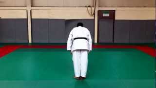 Karate  Taikyoku Nidan KarateBlognet [upl. by Lecia]