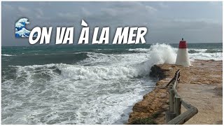 On va à la mer 🌊  VLOG [upl. by Lrigybab300]