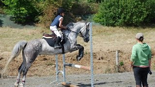 Horse Solution  Zoé passe sa pratique du Galop 3  sauts dobstacles et reprise de dressage [upl. by Ayimat]