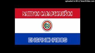 LOS CARAPEGUEÑOS 🍻​ POLCAS ELECTRONICA 🍻​ ENGANCHADOS VOL2 [upl. by Mamoun]