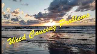 Breakaway Tackle Your Best Damn Surf Fishing Report 100324 Please subscribe for updates [upl. by Mariandi720]