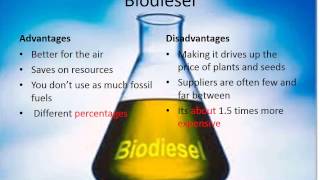 The Difference Between Diesel and Biodiesel [upl. by Arammahs]