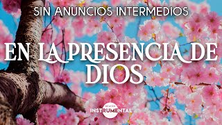 Música Cristiana Instrumental Relajante Para Estudiar Trabajar Descansar HeavenInstrumental [upl. by Robson149]