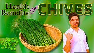 Health Benefits of Chives Herb  Unlocking Natures Green Powerhouse chives chiveshealthbenefits [upl. by Daitzman930]