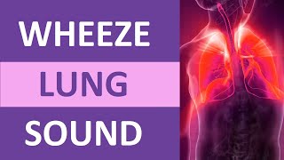 Wheezing Lung Sound Audio High Pitch  Nursing Adventitious Lung Sounds NCLEX Review [upl. by Mateusz]