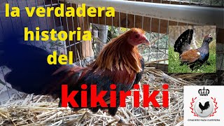 la verdadera historia del gallo kikiriki [upl. by Millman]