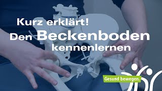 Den Beckenboden kennenlernen  Grundlagen für das Beckenbodentraining [upl. by Tiduj]