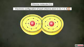 Carbon and its Compounds  Covalent Bonds  Class 10 Chemistry  Science [upl. by Nywles]