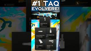 1 TAQ EVOLVERE LOADOUT 🤯 [upl. by Ennahgem]