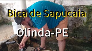 Bica de Sapucaia OlindaPE [upl. by Ailed]