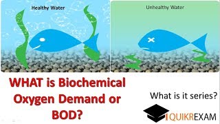 What is biochemical oxygen demand [upl. by Ellennoj]