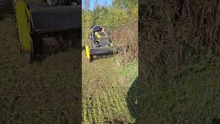 ROBOCUT WILDFLOWER MEADOW rcmower flailmower landscaping [upl. by Waddell]