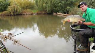 How to land big carp faster on the pole [upl. by Hicks]