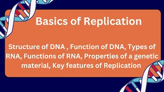 Basics of DNA Replication  Msc 2nd sem Bsc3rd sem Molecular Biology Replication csirnet [upl. by Bullivant74]