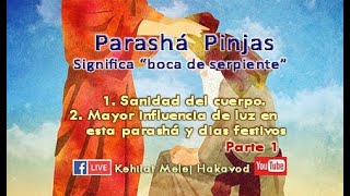 ParashΓʽ Pinjas Parte 1 [upl. by Ferdie]