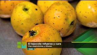 Beneficios de tejocote [upl. by Rudin268]