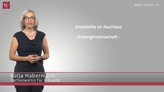 Immobilie im Nachlass  Erbengemeinschaft  NDEEX [upl. by Allayne876]