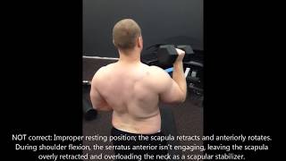 Unilateral shoulder press for learning proper scapular kinematics [upl. by Atirac358]