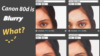 Camera Sharpness ComparisonCanon 80d vs Nikon d3400d3300 vs Sony a6000 [upl. by Reimer590]