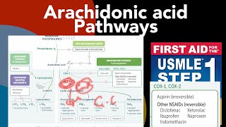 Arachidonic acid pathways Corticoids NASAIDs Celecoxib Montelukast ampZileuton mechanism of action [upl. by Rheinlander]