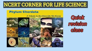 Chordata phylum Animalkingdom ncert line by line phylum chordata Target NEET2024 NcertBiology 🔥🔥 [upl. by Faye114]