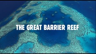 Queenslands Great Barrier Reef The Worlds Best Address [upl. by Irahcaz533]