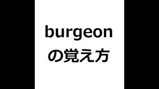 burgeonの覚え方 ＃英検1級 ＃英単語の覚え方 ＃TOEIC ＃ゴロ ＃語呂 ＃語源 ＃パス単 [upl. by Meraree]