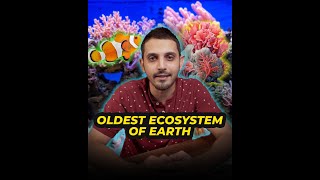 Oldest Ecosystem Of Earth  Explainer 11  Mansoor Qureshi Maani [upl. by Wileen]