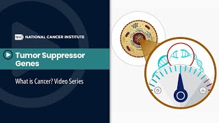 Protooncogene Oncogene and Tumor Suppressor Gene II Cancer Biology [upl. by Evot]