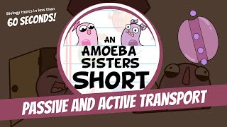 Passive and Active Transport  Amoeba Sisters Shorts [upl. by Ylirama]