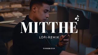 Mitthe   মিথ্যে  Lofi Remix  Bangla Lofi  Tanveer Evan  Lyrical Video [upl. by Nerrag]