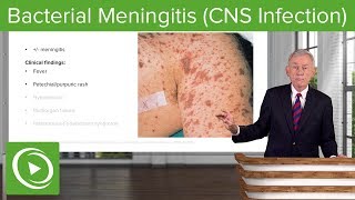 Bacterial Meningitis CNS Infection – Infectious Diseases  Lecturio [upl. by Airekal]