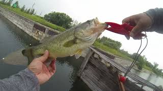 Bass and Pike Fishing Spinnerbait Drop Shot July 2023 [upl. by Nawuq]