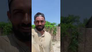 bakry ke sejji kyu jal gai😳😳 minivlog vlog villagelife funny vlogger [upl. by Schecter]