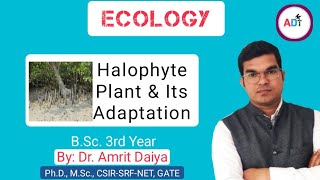 Halophyte Plant and Its adaptation BSc 3 rd Year Dr Amrit Daiya [upl. by Nosoj]