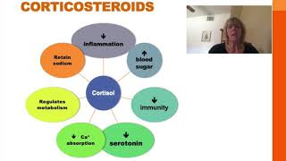 Pharmacology Basics Corticosteroid Medication [upl. by Horbal]