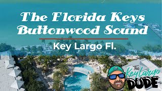 Key Largo Buttonwood Sound in the Florida Keys [upl. by Eentihw146]