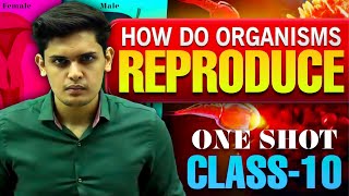 How Do Organisms Reproduce Complete Chapter🔥Class 10th Science NCERT covered Prashant Kirad [upl. by Iliam]