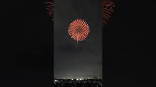 10quotinch 4 shots JAPAN display shell ghost ball fuerwerkfireworksvuurwerkbestfireworks [upl. by Bhayani]