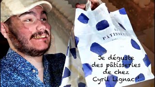 VLOG  Dégustations de pâtisseries De chez Cyril Lignac [upl. by Aicnorev811]