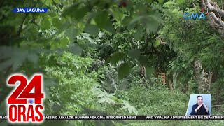 Babaeng nawawala sa Metro Manila natagpuang patay at nakagapos sa Laguna  24 Oras [upl. by Baer]