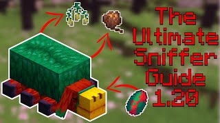 Ultimate Sniffer Minecraft Guide 120 l How to Find Sniffer Eggs l How To Breed Sniffers l [upl. by Edith]