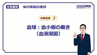 【生物基礎】 体内環境の維持5 血球：血小板の働き（血液凝固） （１６分） [upl. by Shaeffer989]