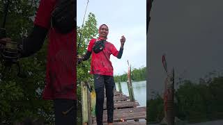 Barakuda yang garang fishing shortvideo healing [upl. by Furnary669]