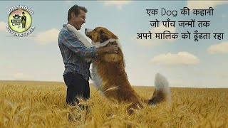 A Dog’s Purpose Movie Hindi Explanation [upl. by Juliet]