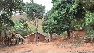 FAMILIAS VIVEM COMPLETAMENTE ISOLADAS NO MEIO DO NADA NO CEARÁ [upl. by Jaal352]