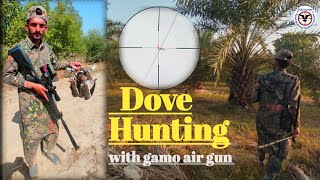 Dove Hunting  gamo air rifle roadster igt 10x gen2  SSB Hunter [upl. by Stephenson]