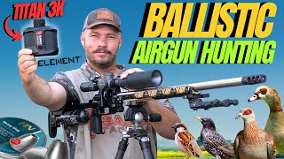 BALLISTIC AIRGUN HUNTING I ELEMENT TITAN 3K REVIEW AND HUNT I AIRGUN PEST CONTROL [upl. by Nawram]