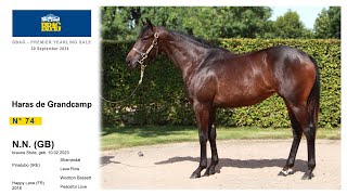 BBAG 202408 sale  N° 74  F  Pinatubo x Happy Lane présentée  le Haras De Grandcamp [upl. by Ponzo]