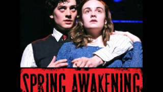 The London Theatre Cast  Aneurin Barnard Spring Awakening [upl. by Ennairoc]